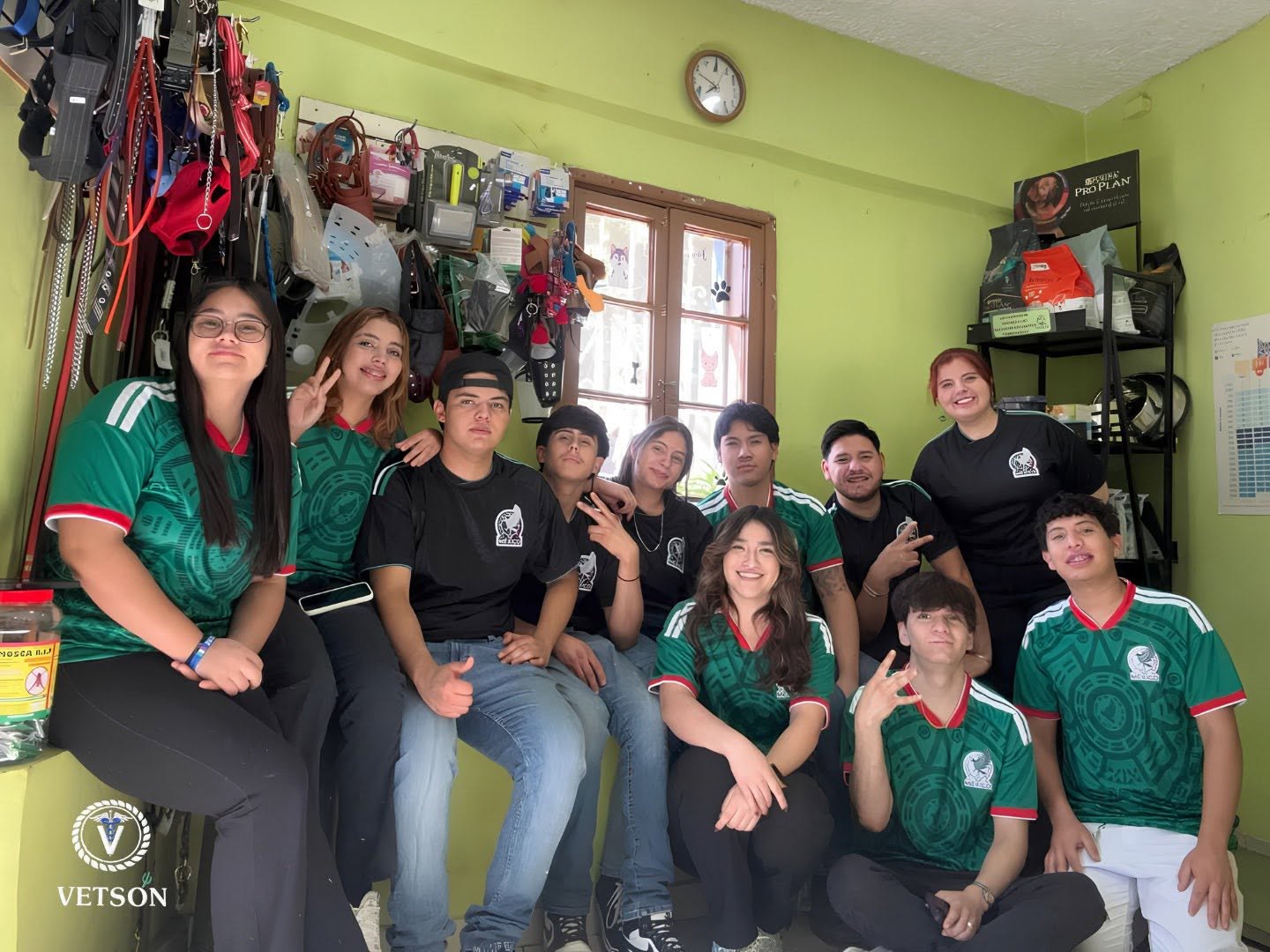 Equipo profesional de la Clínica Veterinaria Vetson
