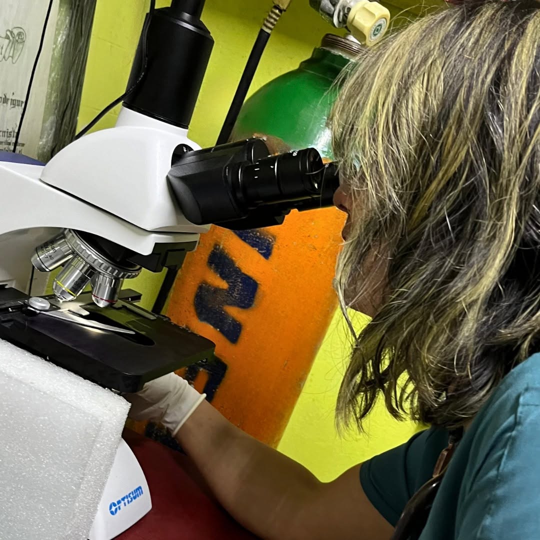 Laboratorio