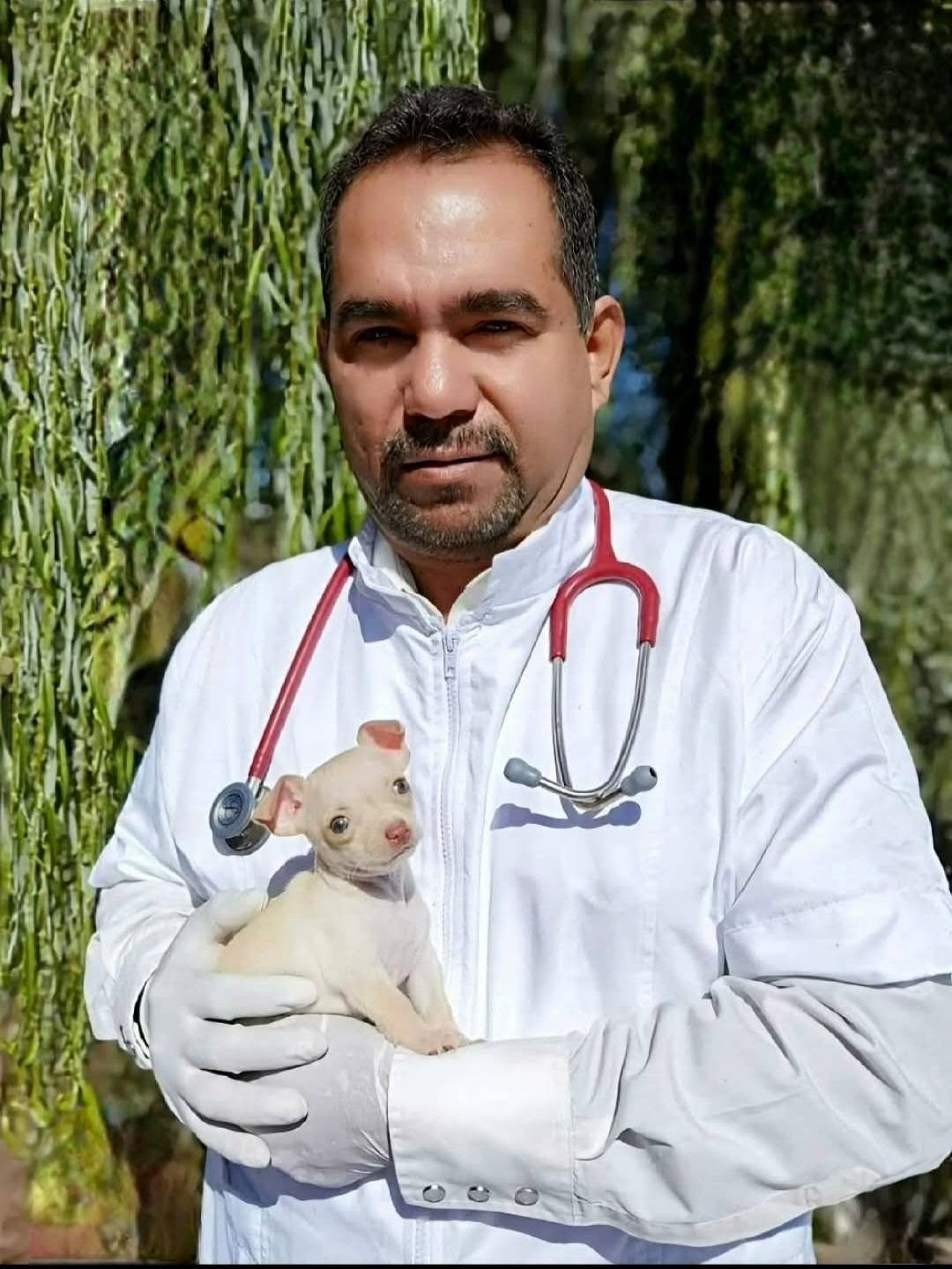 Veterinario de Vetson con un cachorro