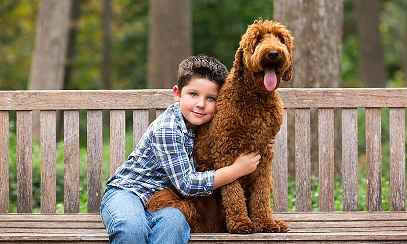 Compañía y bienestar: una mascota feliz y bien cuidada en Vetson